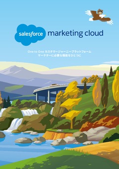 Salesforce Marketing Cloud 