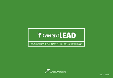Synergy!LEAD